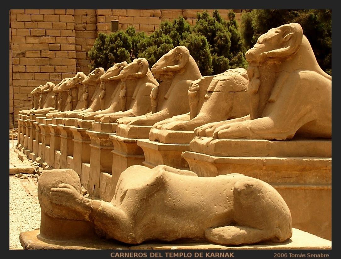 Crociera sul Nilo 8 giorni – Programma Ramses II