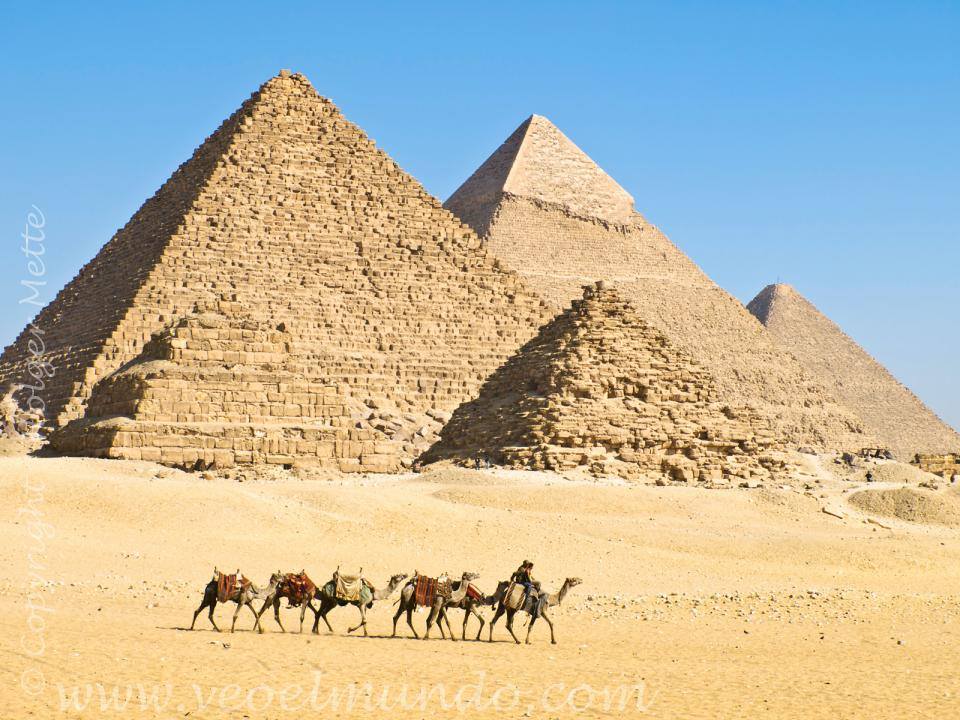 Piramidi, Saqqara e Menfi – Programma Cheope