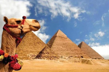 Piramidi, Saqqara e Menfi – Programma Cheope