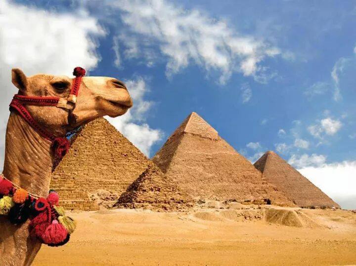 Piramidi, Saqqara e Menfi – Programma Cheope